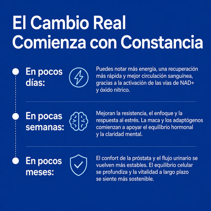 NAD+ SELERB BOOSTER Energía, potencia y vitalidad masculina total